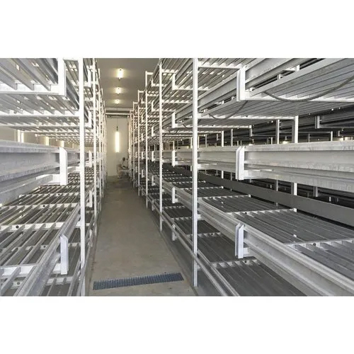 220 V Mushroom Growing Chamber - Body Material: Mild Steel