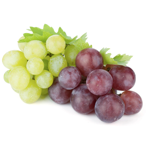 Fresh Grapes - Cultivation Type: Common