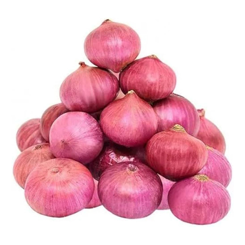 Fresh Onion - Moisture (%): 5% - 10%