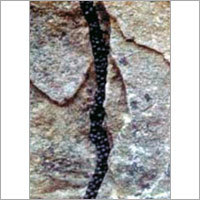 पेलेटाइजेशन