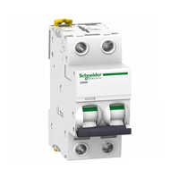 40amp 2 Pole Mcb - Color: White