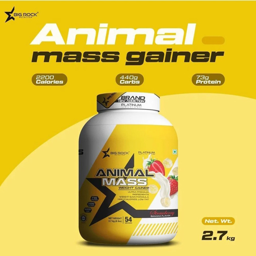 Lean Mass Gainer