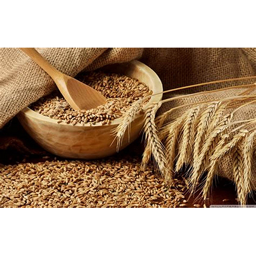 Wheat Whole