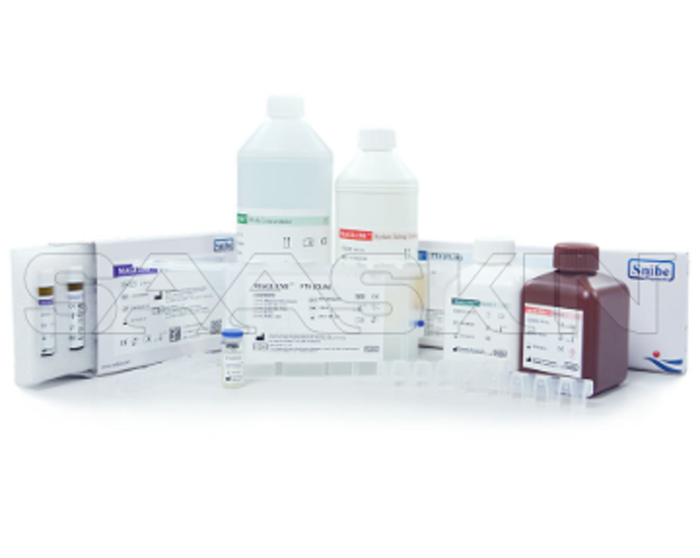 Snibe Maglumi Acth (Clia)