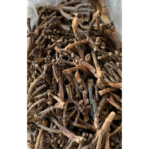 Cloves stem  Indonesia