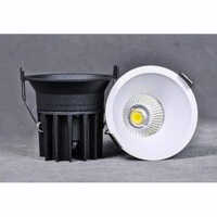 3W Cob Light