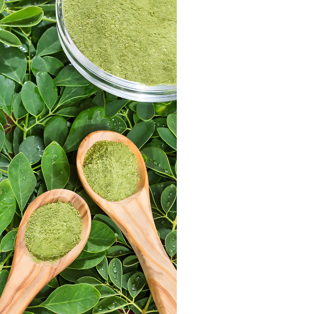 Moringa Leaf Powder