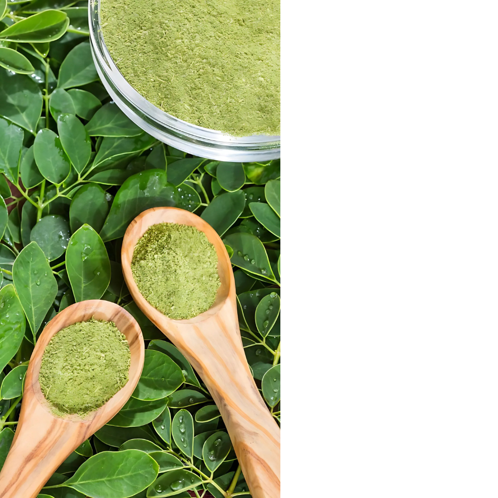 Moringa Leaf Powder - Cultivation Type: Organic (If Applicable): Grown Without The Use Of Synthetic Pesticides
