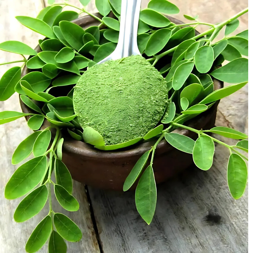 Moringa Leaf Powder