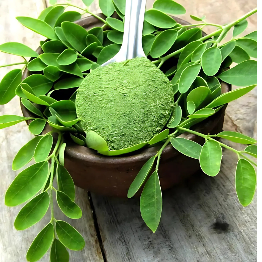 Moringa Leaf Powder - Cultivation Type: Organic (If Applicable): Grown Without The Use Of Synthetic Pesticides