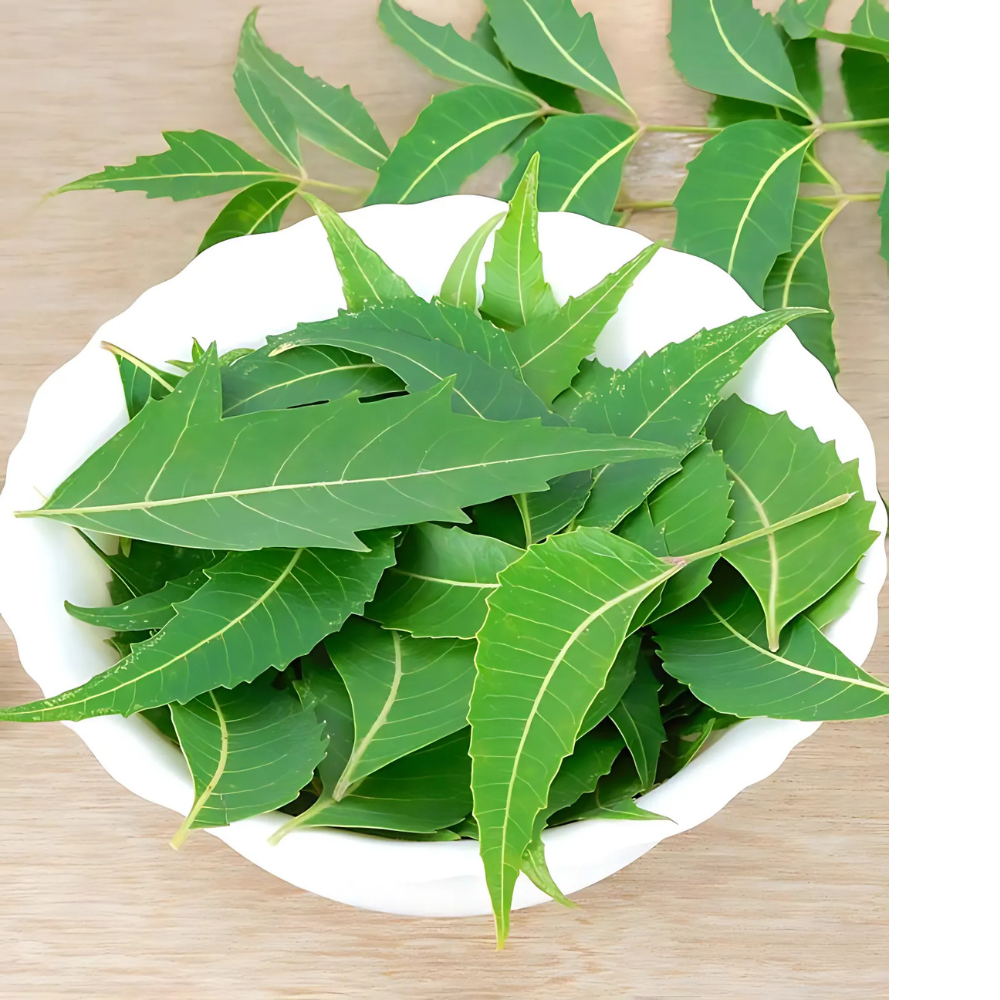 Neem Leaf Powder