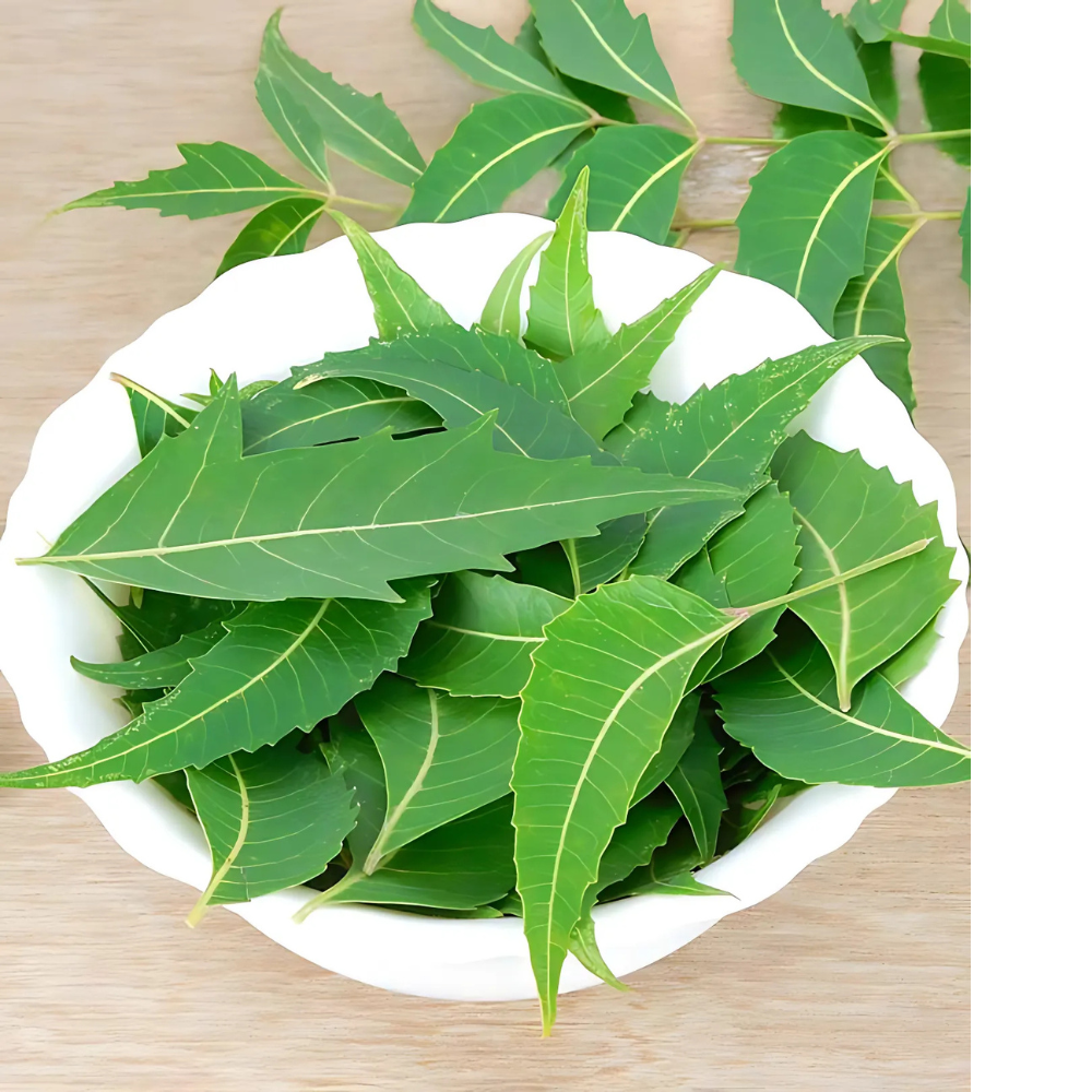 Neem Leaf Powder - Cultivation Type: Organic (If Applicable): Grown Without Synthetic Pesticides