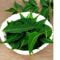 Neem Leaf Powder