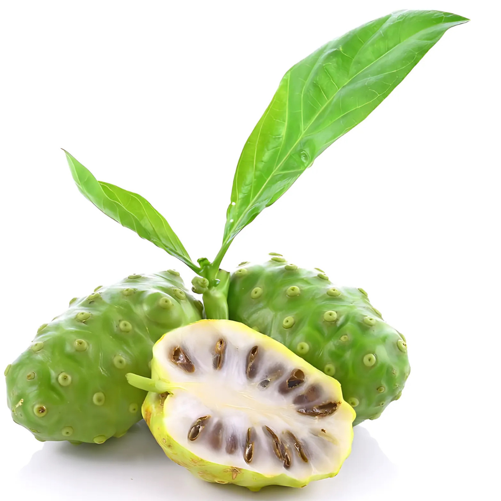 Organic Noni Fruit Powder