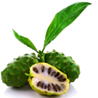 Organic Noni Fruit Powder