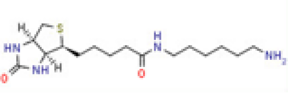 N-(6-Aminohexyl)-5-((3as,4s,6ar)-2-oxohexahydro-1h-thieno[3,4-d]imidazol-4-yl) pentanamide