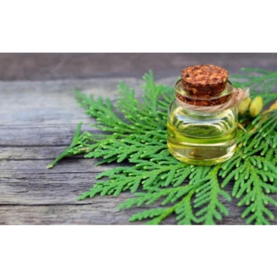 Thuja Essential Oil