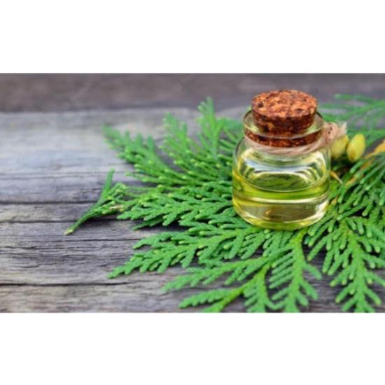 Thuja Essential Oil - Thuja Occidentalis Steam Distilled, Pale Yellow Liquid | Therapeutic Grade, Aromatherapy, Cosmetic, Medicinal Use