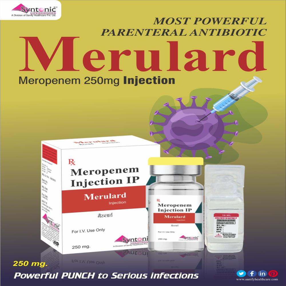 MERULARD 250