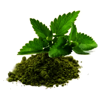 Tulsi Powder