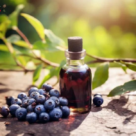 Acai Berry Oil