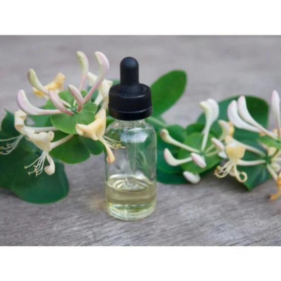 Honeysuckle Absolute Oil