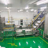 Mango Processing Plant