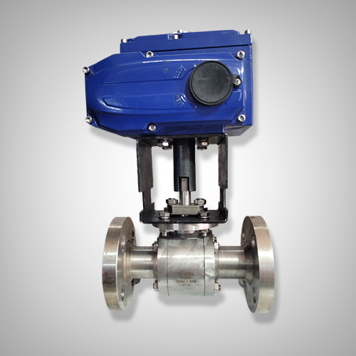 600 Electric Actuated Ball Valve - Finish: Polished