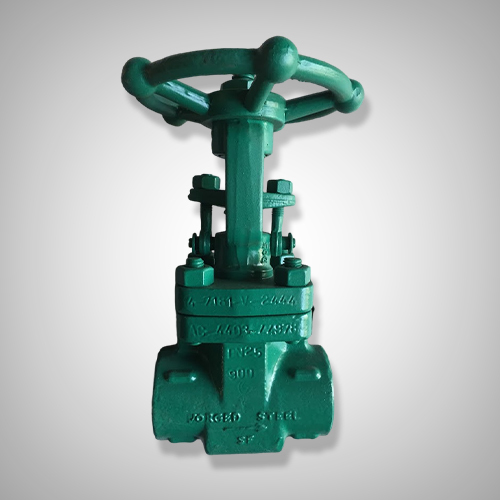 Industrial Forged Gate Valve