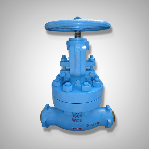 Ms Globe Valve - Material: Stainless Steel