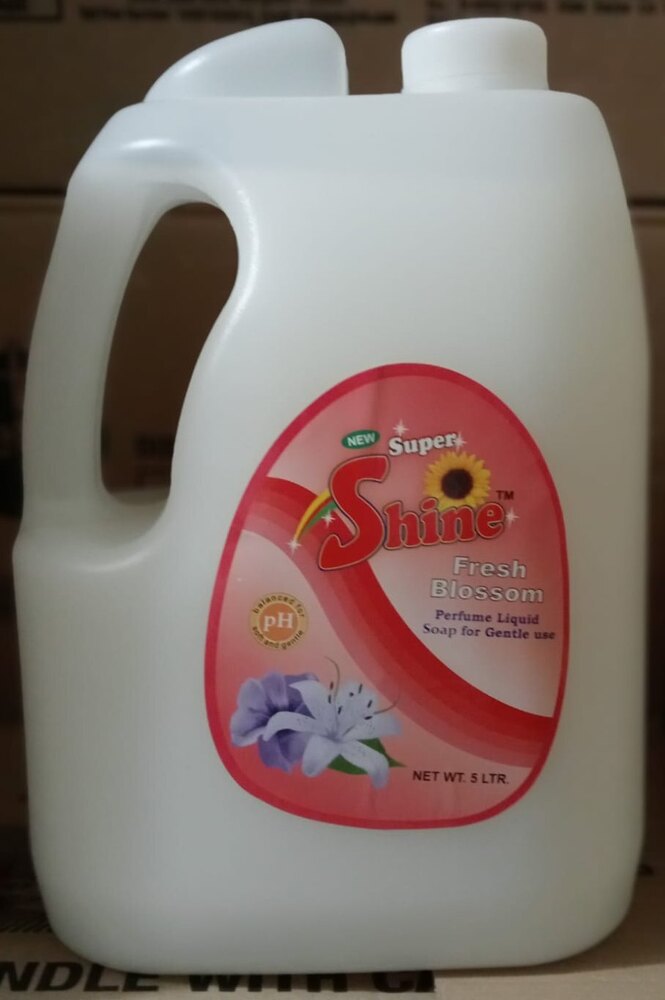 Fem Hand Wash 5Ltr