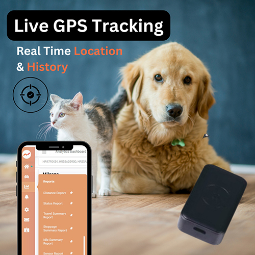 Pet Tracker