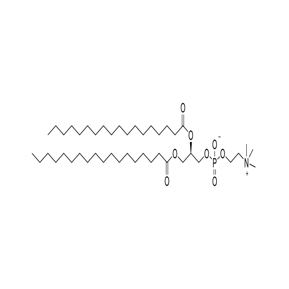 1,2-Distearoyl-Sn-Glycero-3- Phosphocholine