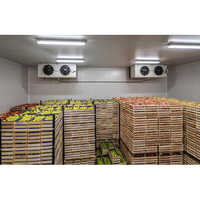 Industrial Cold Storage Room