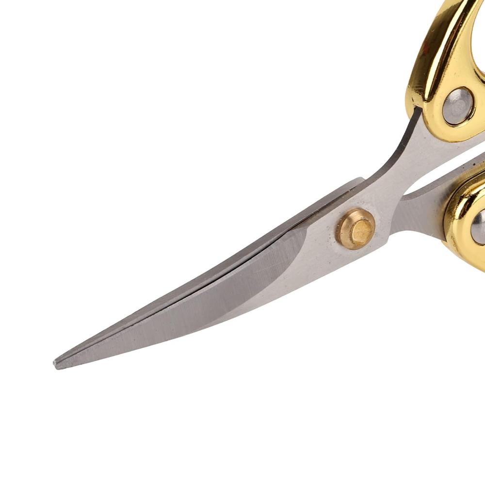 Stainless Steel Scissor