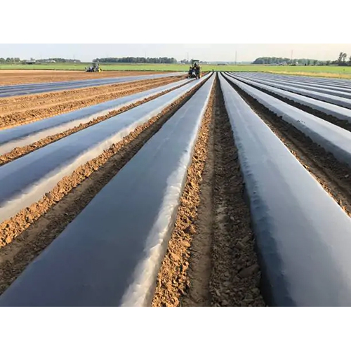 Agriculture Mulch Film - Advantage: Environmentally Friendly