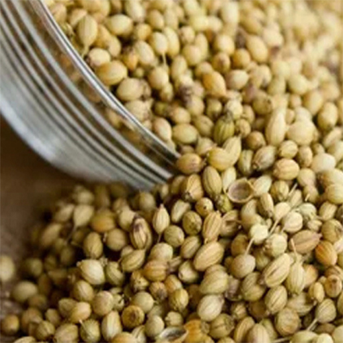 Coriander Seeds - Grade: Food Grade