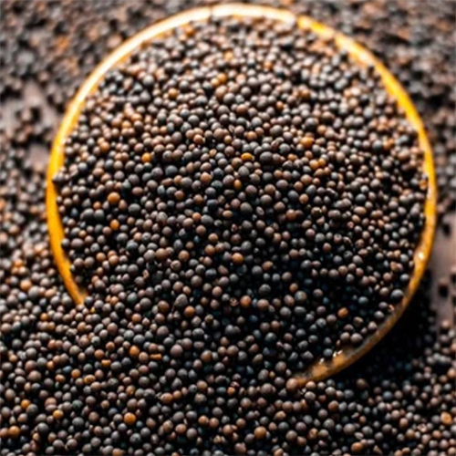 Black Mustard Seeds - Grade: Food Grade