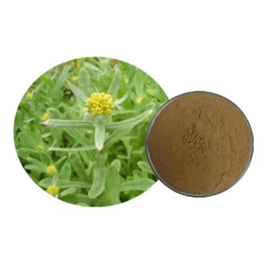 Gnaphalium Uliginosum Extract