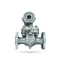Ibr Boiler Blowdown Valve - Color: Silver
