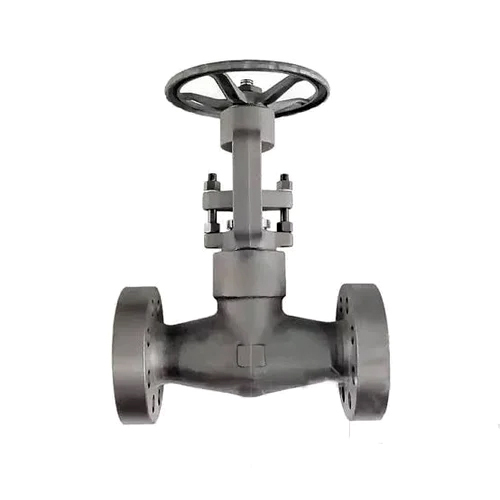 Flange End Pressure Seal Gate Valve - Color: Grey