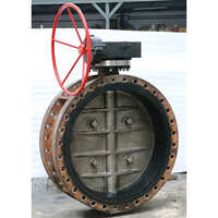 Audco Butterfly Valve - Color: Black