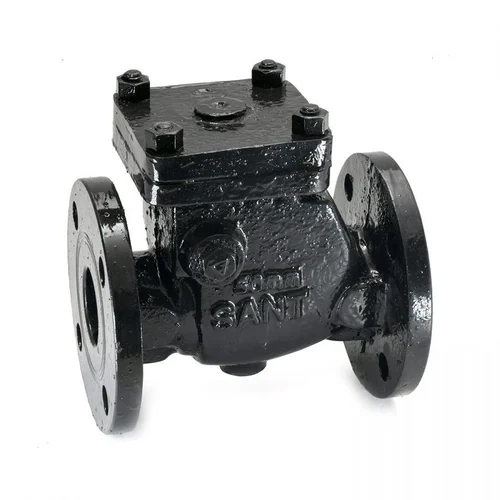 Cast Iron Reflux Valves - Color: Black