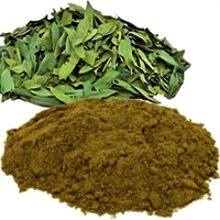 Senna Dry Extract Ip - Purity: 99%