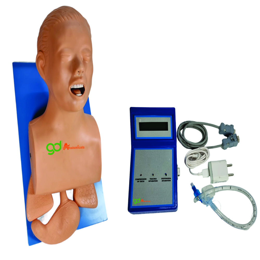 Airway Intubation Simulator