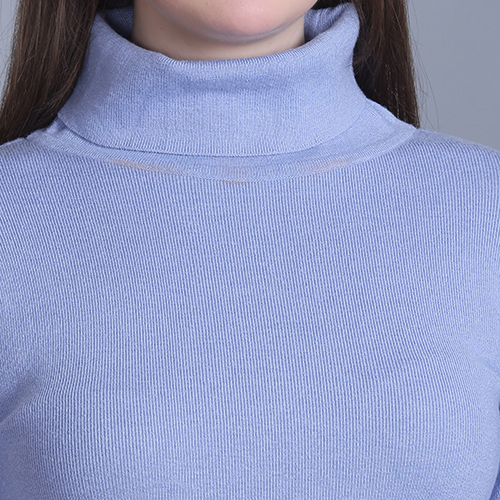Ladies skivvy