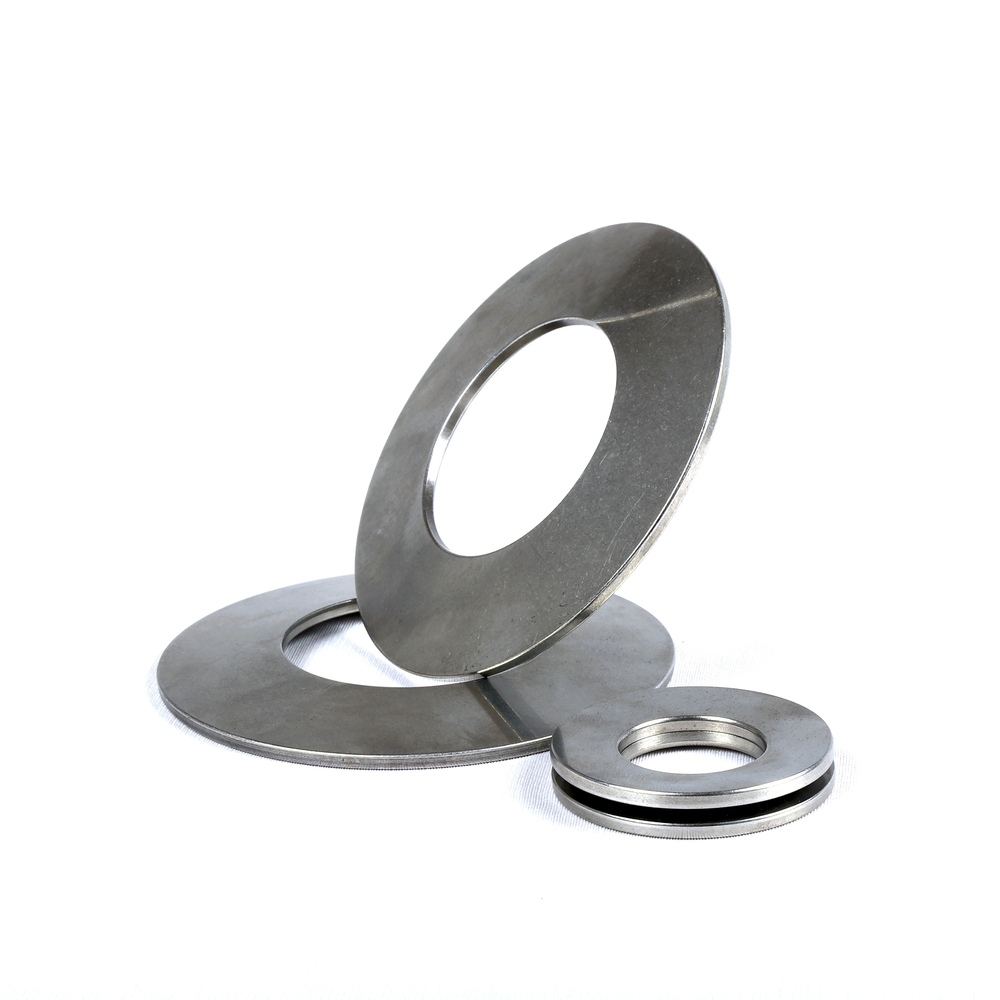 Stainless Steel Disc Spring Washer