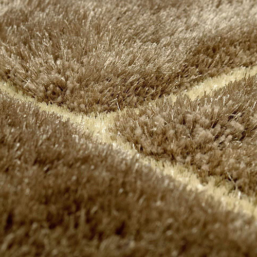 Shaggy Rugs