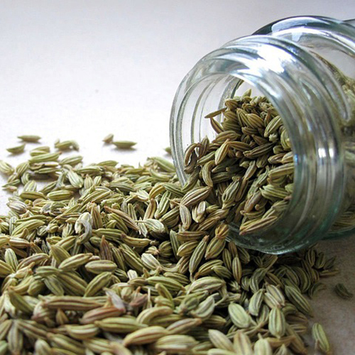 Fennel Seeds - Grade: Food Grade