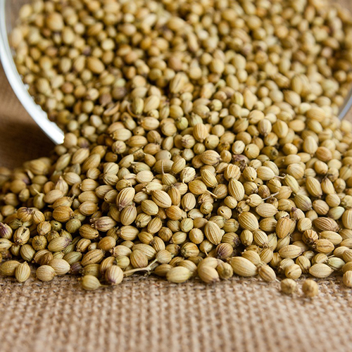 Coriander Seeds - Grade: Food Grade